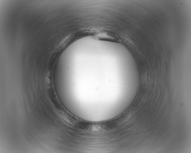 X0000054370264200508262349