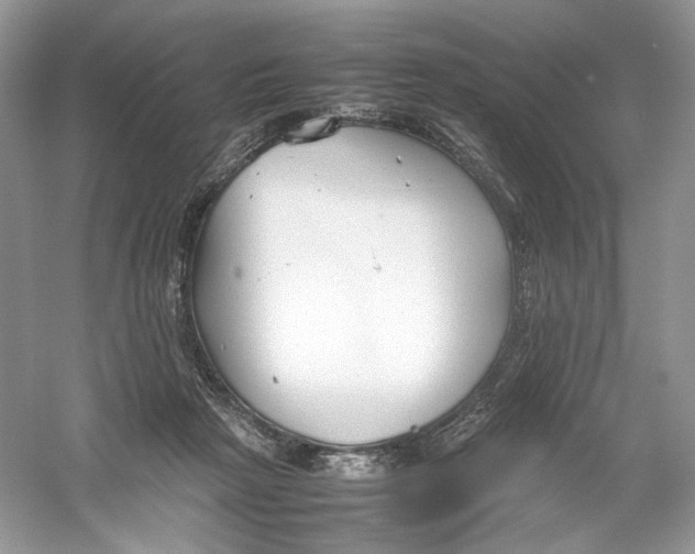 X0000054370265200508262349