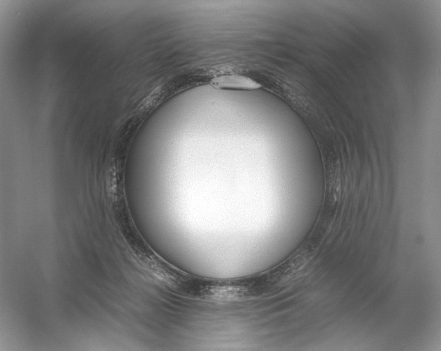 X0000054370268200508262349