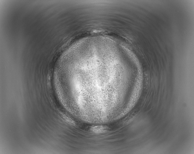 X0000054370269200508262349