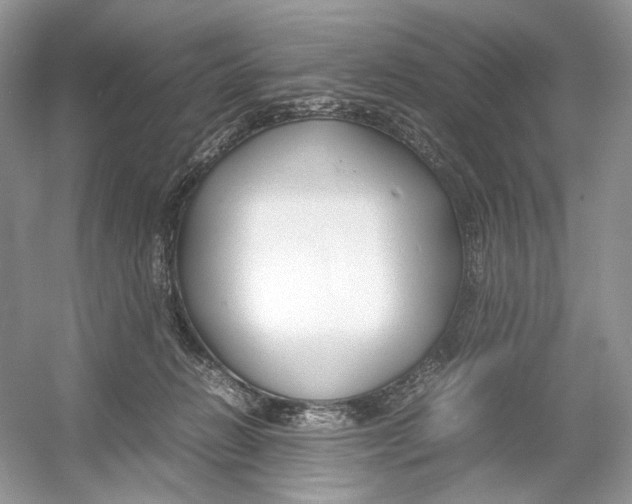 X0000054370270200508262349