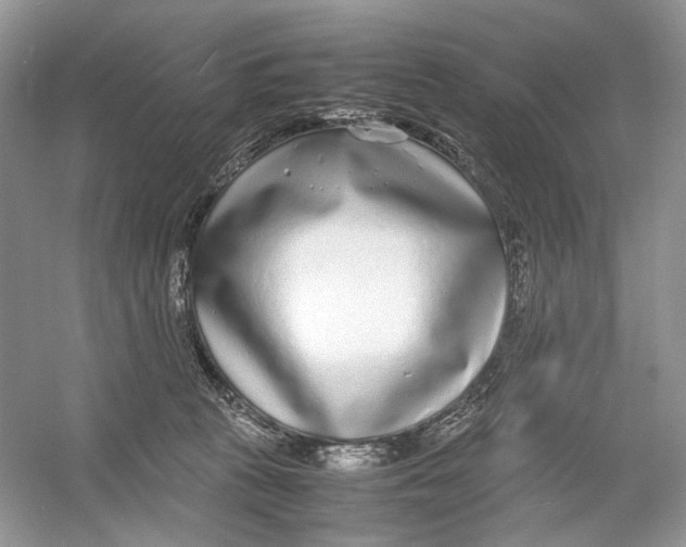 X0000054370273200508262349