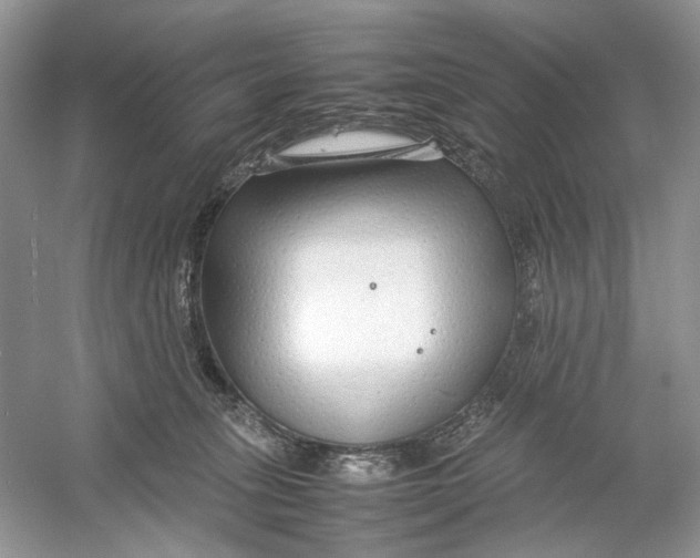 X0000054370275200508262349