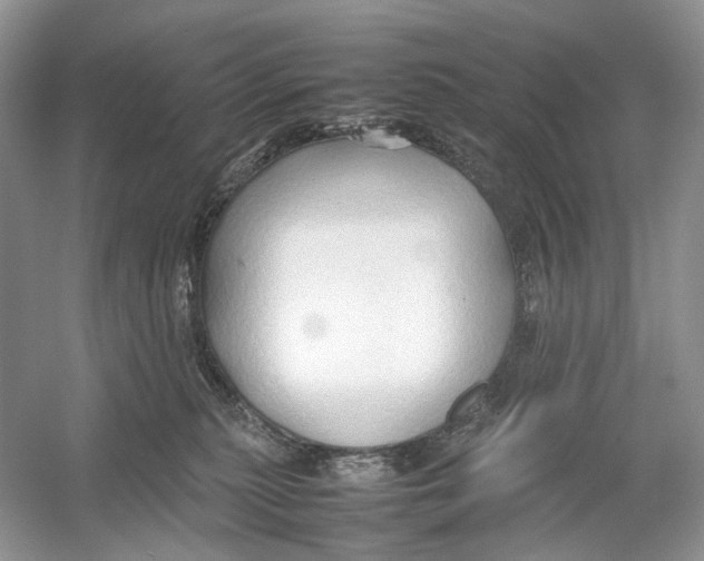 X0000054370279200508262349