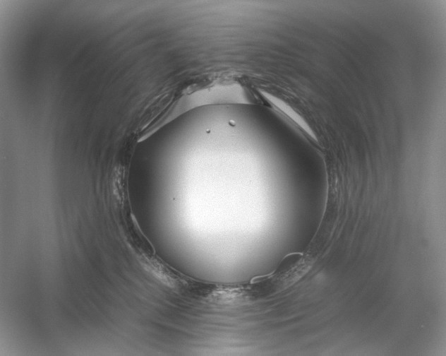 X0000054370280200508262349