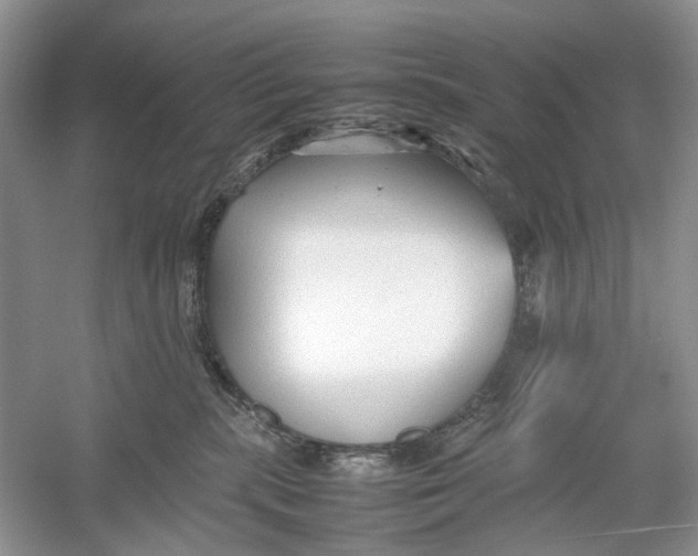 X0000054370283200508262349