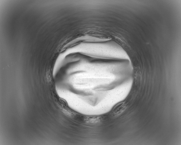 X0000054370285200508262349