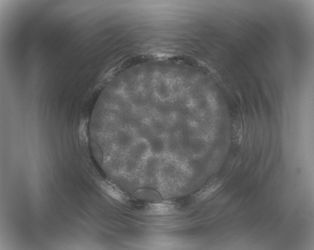 X0000054370286200508262349