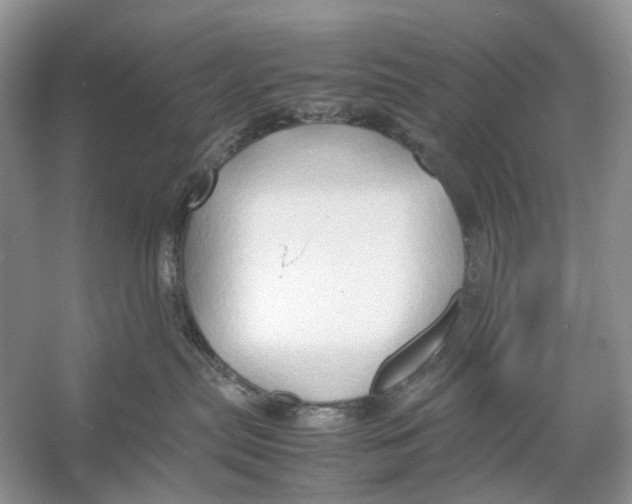 X0000054370287200508262349