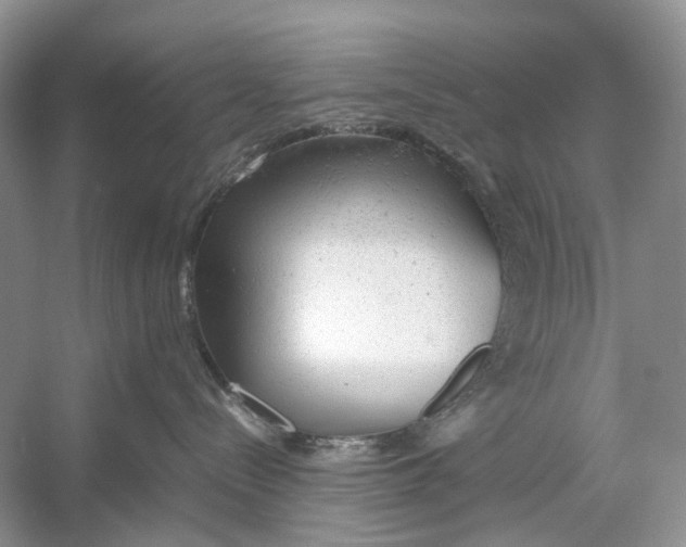 X0000054370288200508262349