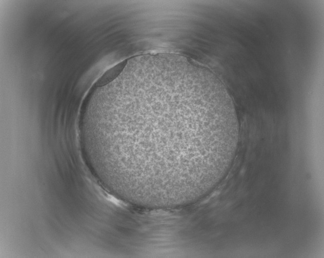 X0000054370290200508262348