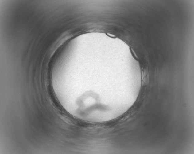 X0000054370291200508262348