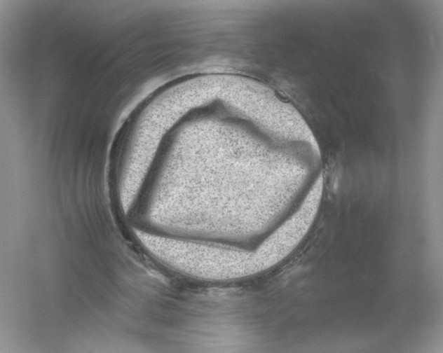 X0000054370292200508262348