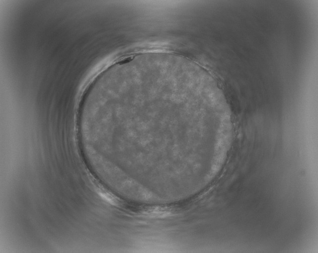 X0000054370293200508262348