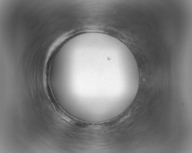 X0000054370294200508262348