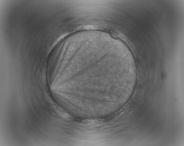 X0000054370297200508262348