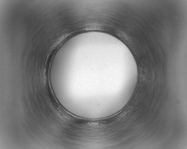 X0000054370298200508262348