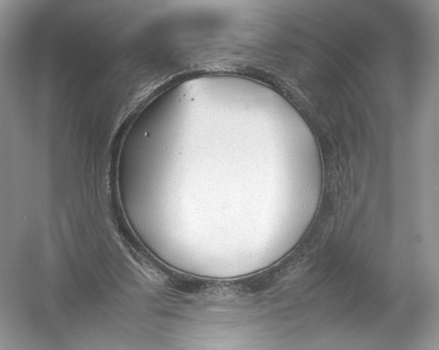 X0000054370299200508262348