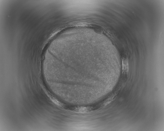 X0000054370301200508262348