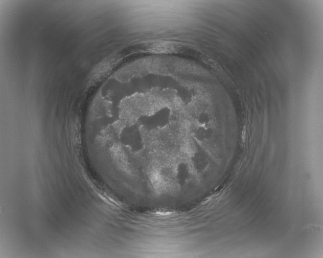 X0000054370303200508262348