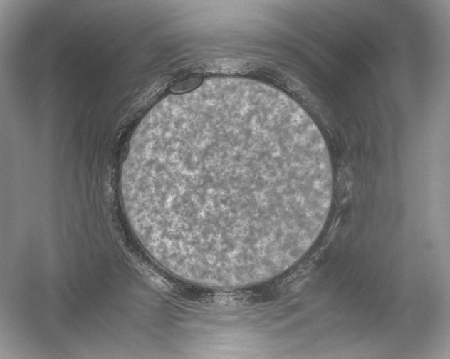 X0000054370305200508262348