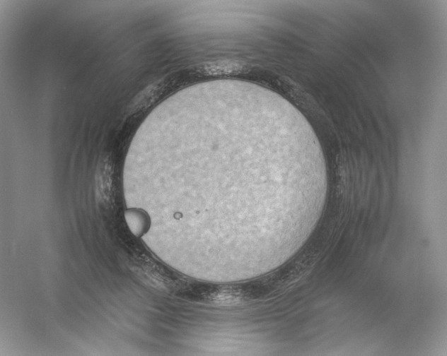 X0000054370308200508262348