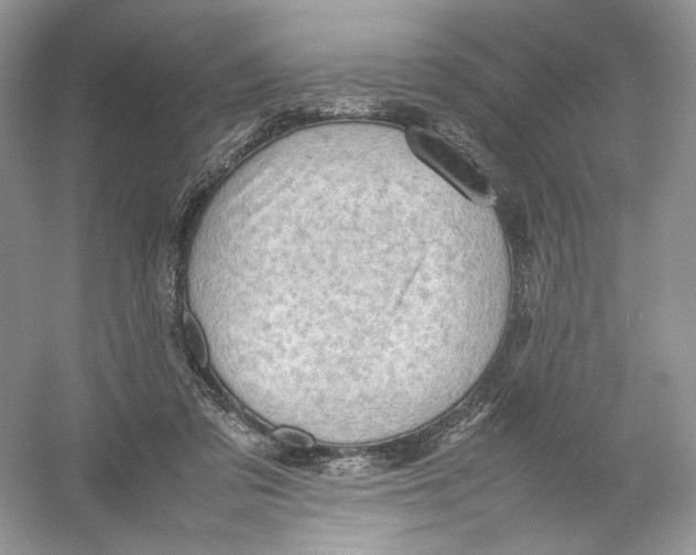 X0000054370309200508262348