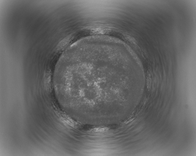 X0000054370314200508262348