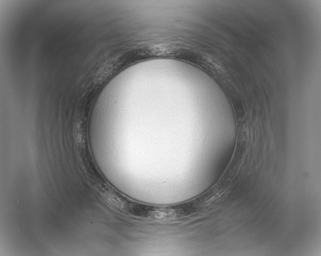 X0000054370317200508262348