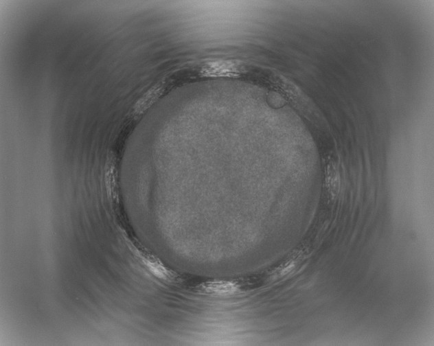 X0000054370322200508262348