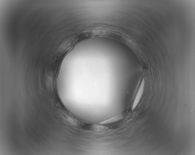 X0000054370333200508262348