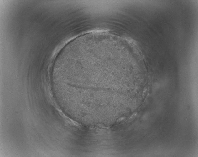 X0000054370337200508262347