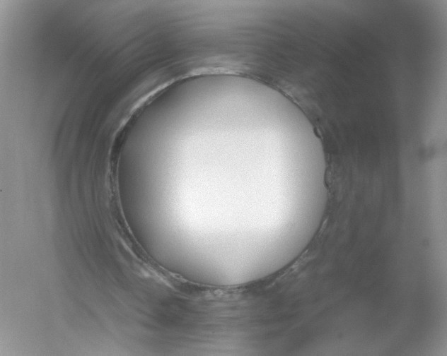 X0000054370338200508262347