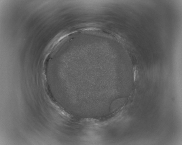 X0000054370339200508262347