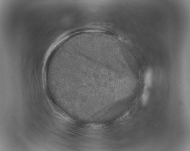 X0000054370343200508262347