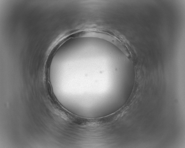 X0000054370344200508262347