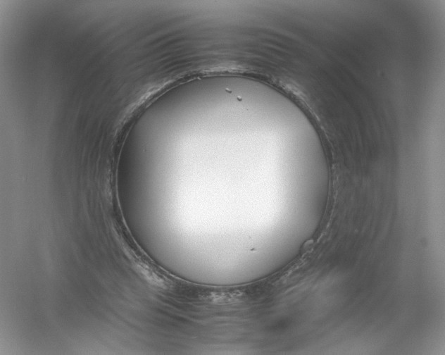 X0000054370345200508262347