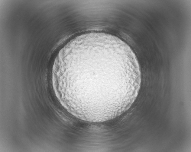 X0000054370346200508262347