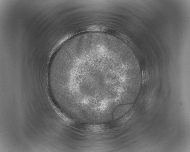 X0000054370349200508262347