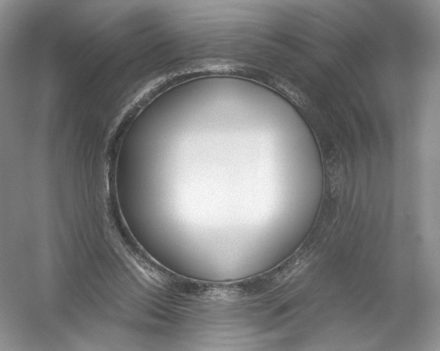 X0000054370350200508262347