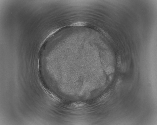 X0000054370351200508262347