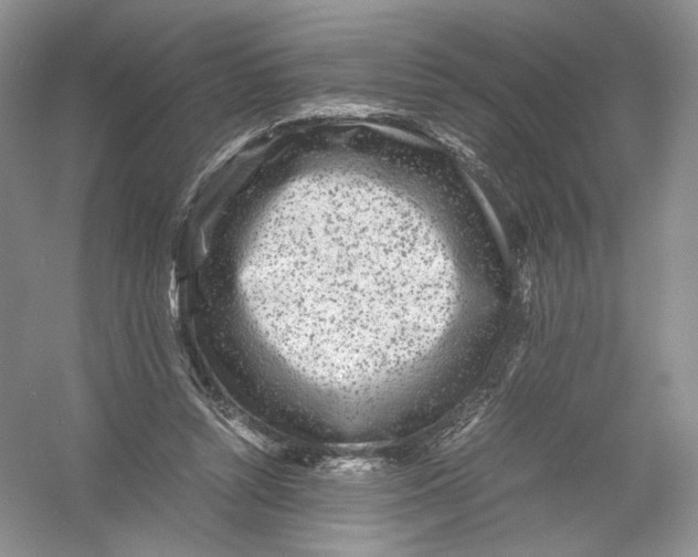 X0000054370352200508262347