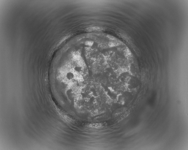 X0000054370353200508262347