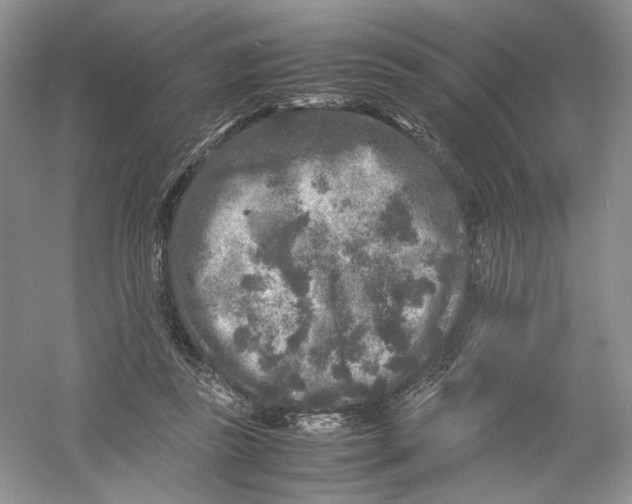 X0000054370355200508262347