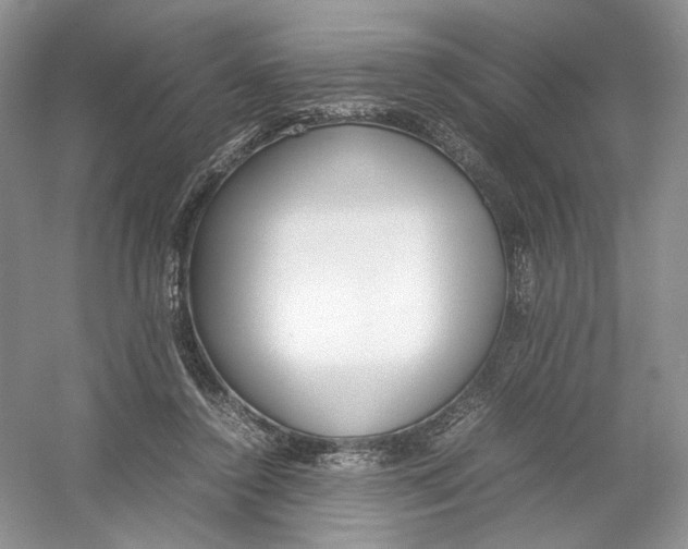 X0000054370356200508262347