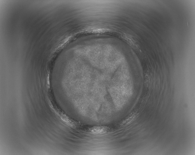 X0000054370358200508262347