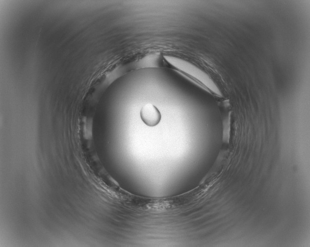 X0000054370362200508262347