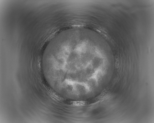 X0000054370363200508262347