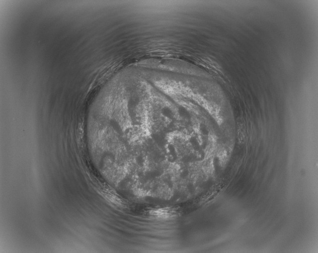 X0000054370365200508262347