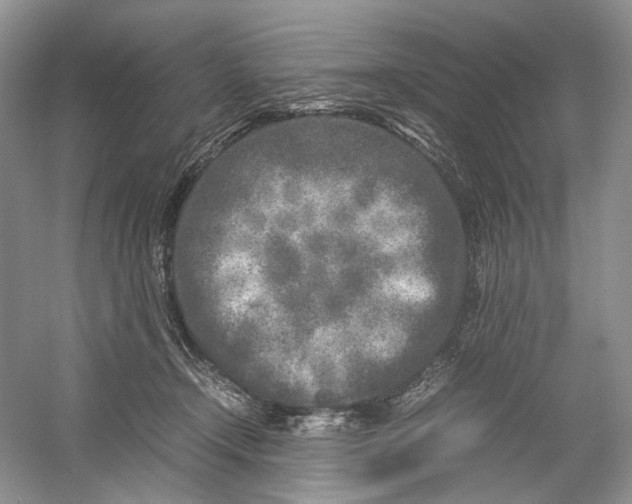 X0000054370366200508262347